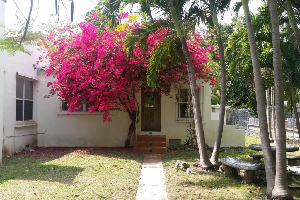 Apartment Private In The Heart Of Miami! Surrounded By Miami's Hot Spots! *